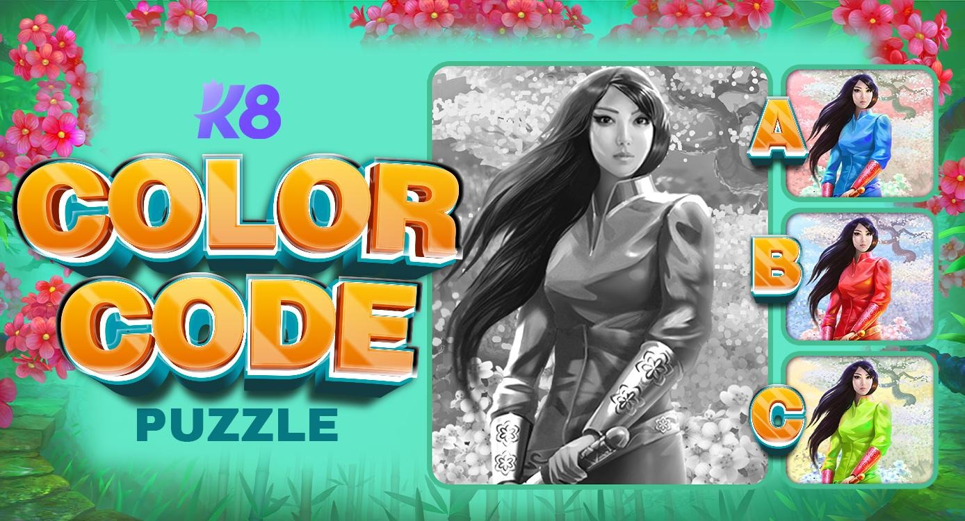 Color Code Puzzle